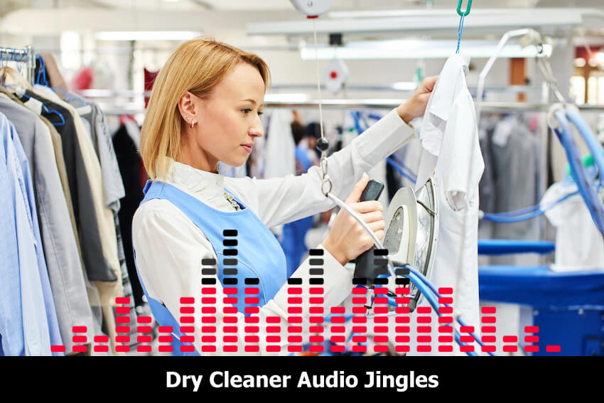 professional dry cleaner jingle company